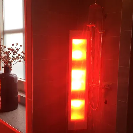 De Lindenburg Met Prive Hottub, Sunshower, Sauna, Grote Tuin Met Weidezicht En Vrije Ligging, 6-persoons